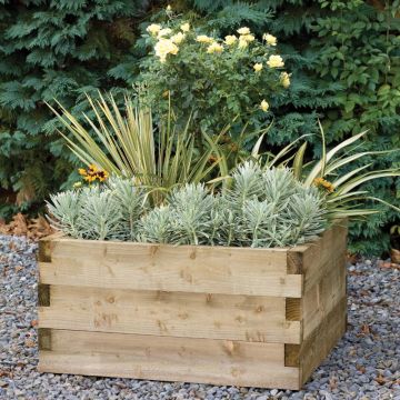 Forest 90 x 90cm Caledonian Raised Bed
