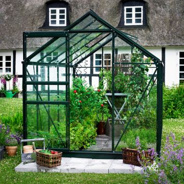 8x6 Green Frame Large Paned Toughened Glass Greenhouse
