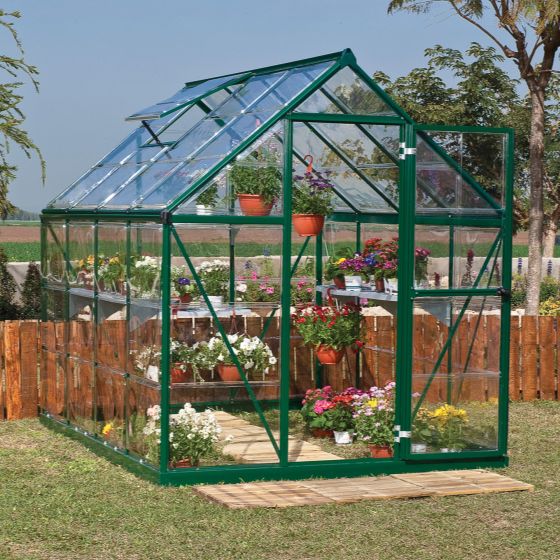 6x8 Palram Harmony Polycarbonate Green Greenhouse
