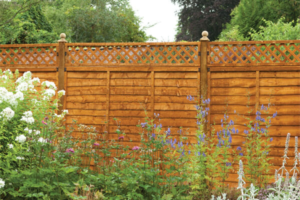 one of our garden privacy ideas - a 6ft tall fence with a trellis fence topper on top