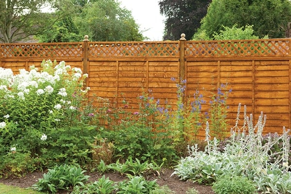 a wooden garden fence with a trellis fence topper in front of a garden border full of green and white plants
