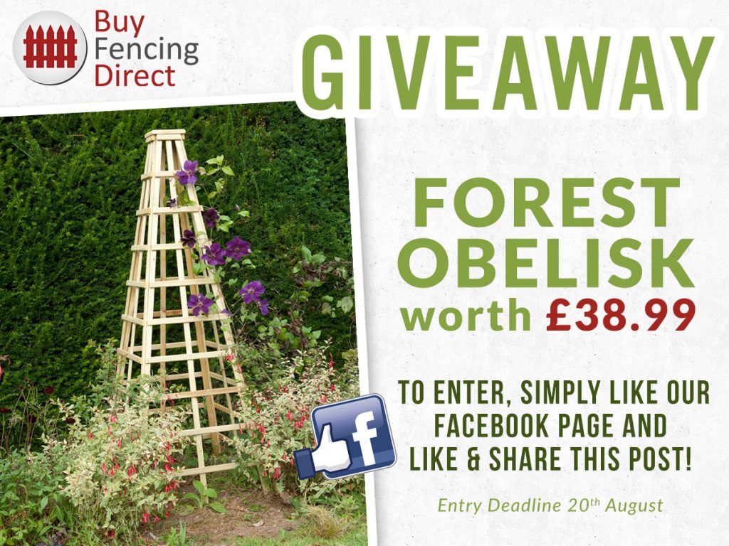 Forest Obelisk Summer Giveaway