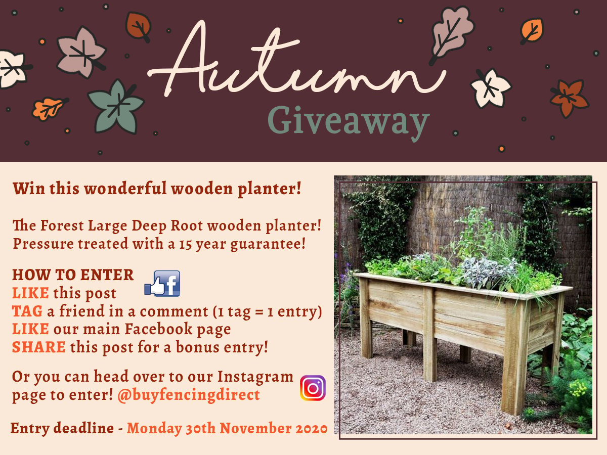 Forest Large deep root wooden planter giveaway 