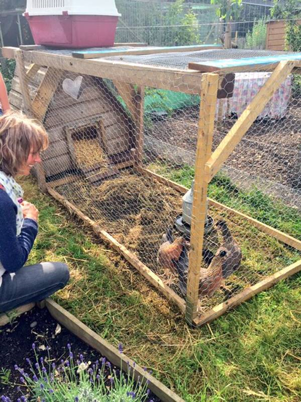 Keeping chickens with Pocket Farm