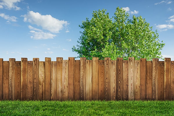 Who is Responsible for Garden Fences? 
