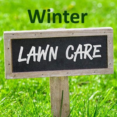 Your Winter Lawn Care Guide