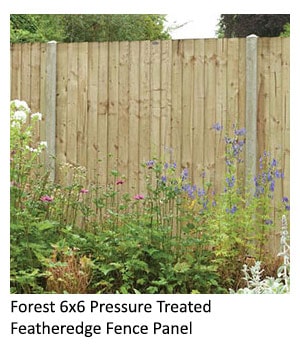 The Forest 6x6 Pressure Treated Featheredge Fence Panel with plants in the foreground