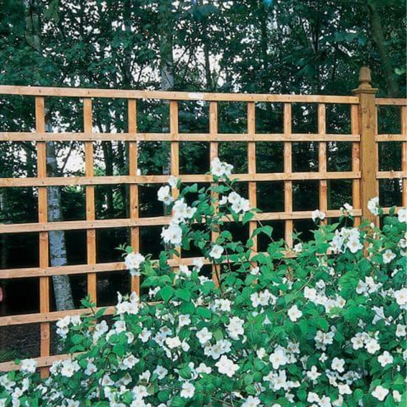 Square Trellis Fence Panel