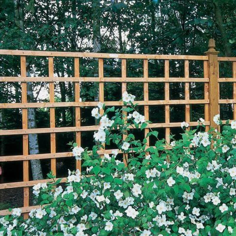 One of our privacy fence topper ideas - a trellis panel to put atop your existing fence panel