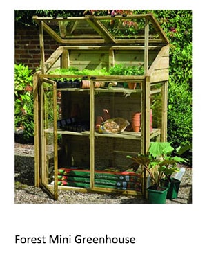 Forest Mini Greenhouse