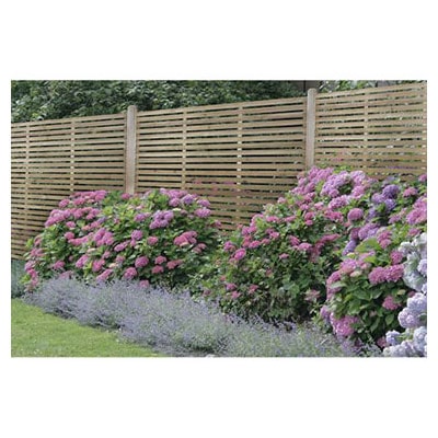 Forest 6x6 Slatted Fence Panel - A slatted decorative garden fence panel behind pink flowers