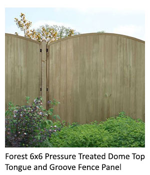 Forest 6x6 Pressure Treated Dome Top Tongue and Groove Fence Panel with a bush in the foreground