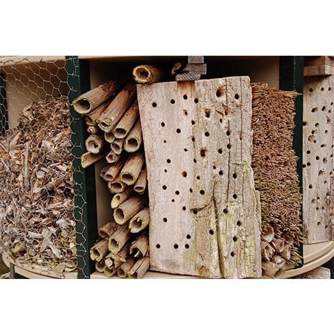 A close up of a bug hotel