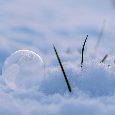 grass covered in snow