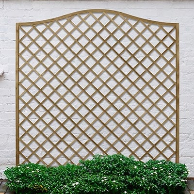 a 6x6 diamond lattice trellis panel