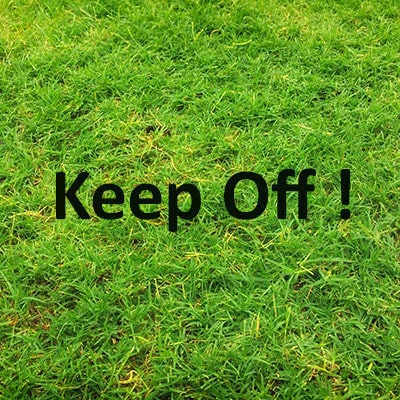 a patch of grass with an overlay reading 'keep off'