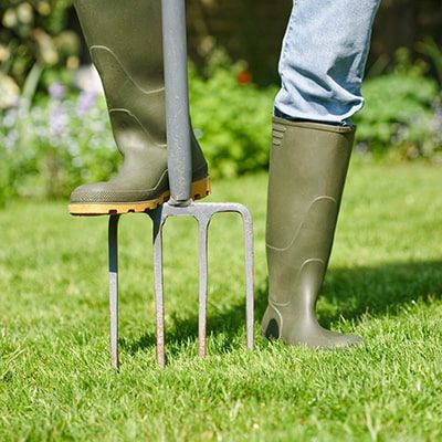 a man aerating a lawn with a garden fork