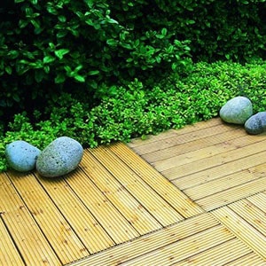 4 blue stones on top of some checkboard garden decking tiles, positioned next to a bush.