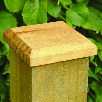 post cap to protect the end of a fence post