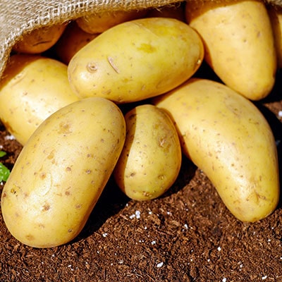 potatoes spilling out of a hessian sack