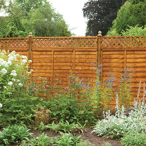 Trellis Fence Toppers